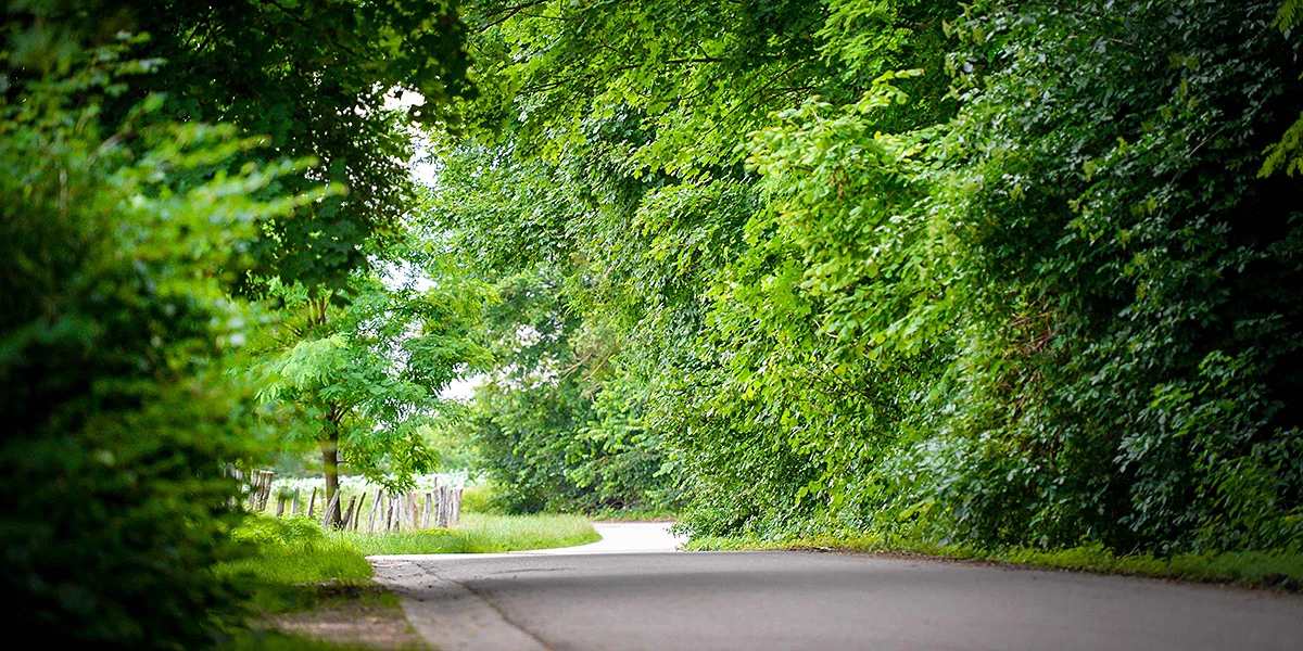 route printanière 1 visuel 1