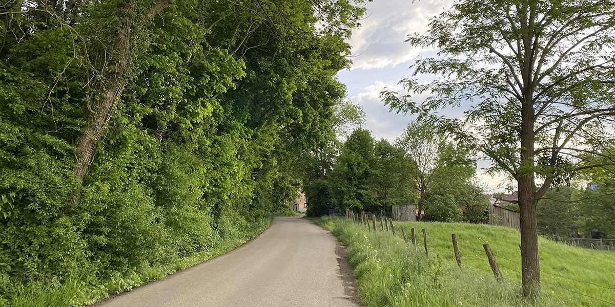 route printanière 2 visuel 1