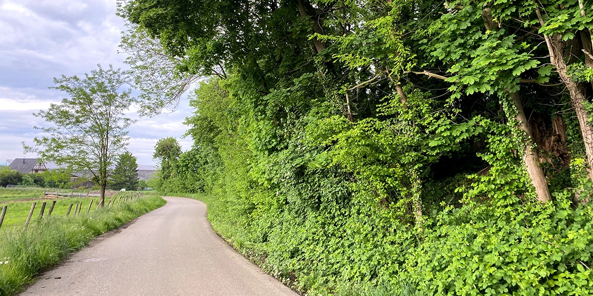 route printanière 3 visuel 1