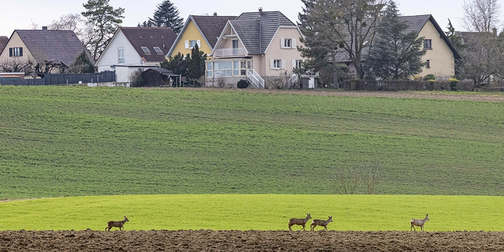 vues générales 10 visuel 1