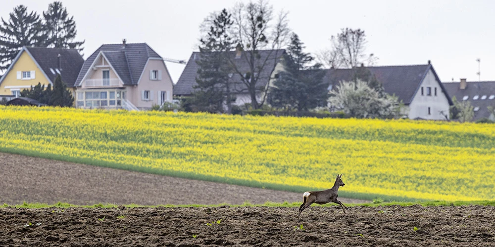 vues générales 15 visuel 1