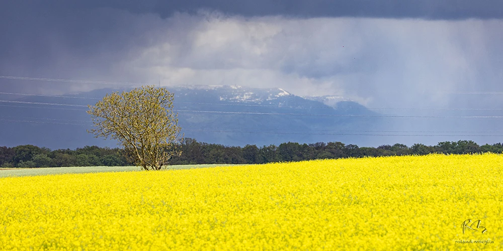 vues générales 1 visuel 2